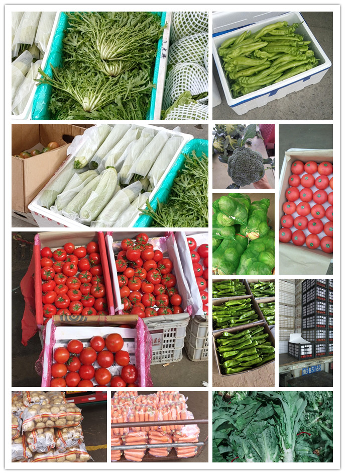 beat·365(中国)唯一官方网站