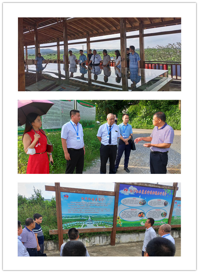 beat·365(中国)唯一官方网站