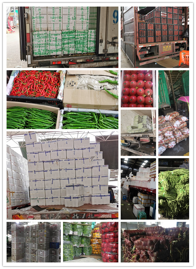 beat·365(中国)唯一官方网站