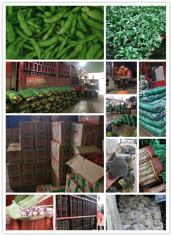 beat·365(中国)唯一官方网站