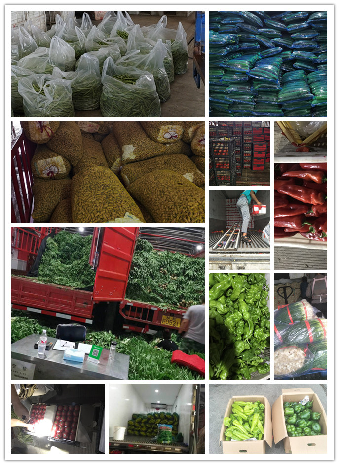 beat·365(中国)唯一官方网站