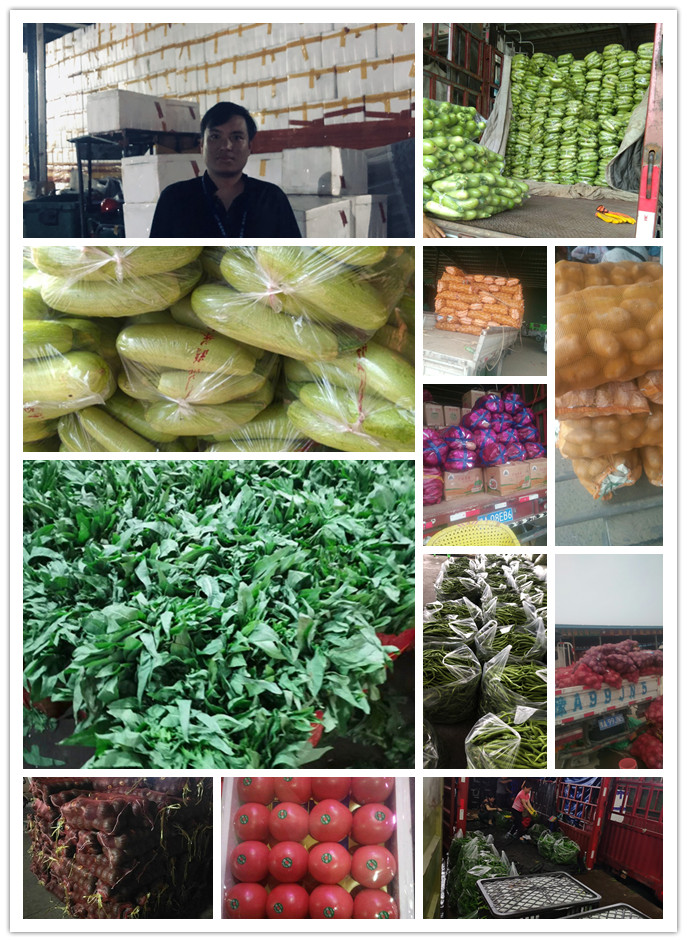 beat·365(中国)唯一官方网站