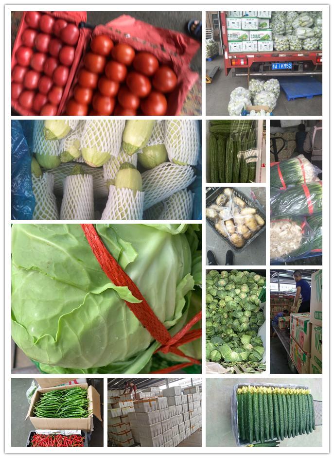 beat·365(中国)唯一官方网站