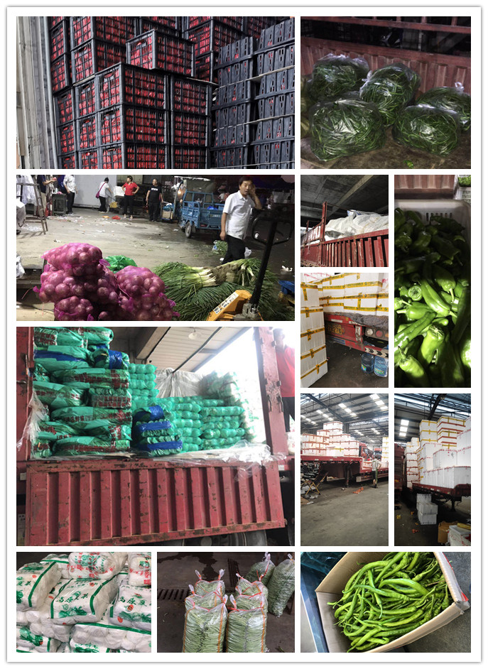 beat·365(中国)唯一官方网站