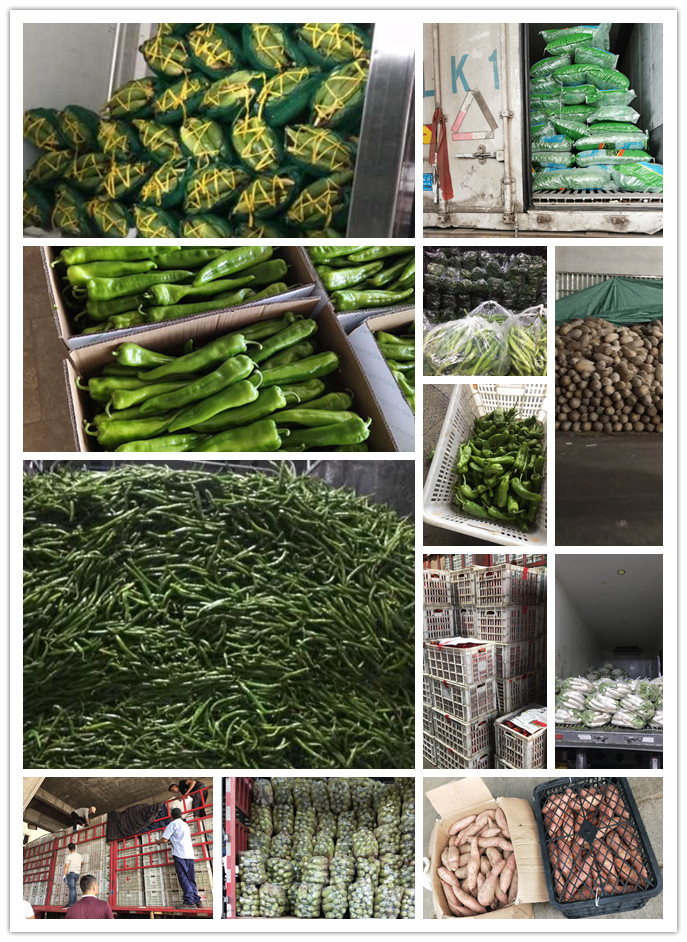 beat·365(中国)唯一官方网站