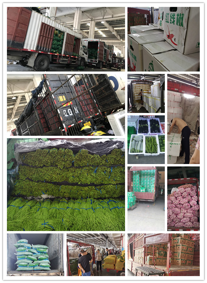 beat·365(中国)唯一官方网站