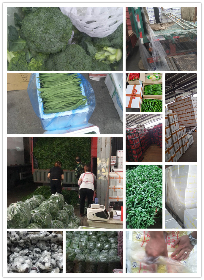 beat·365(中国)唯一官方网站