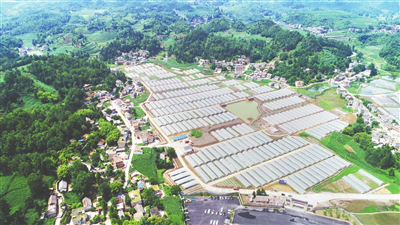 beat·365(中国)唯一官方网站