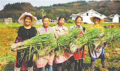 beat·365(中国)唯一官方网站