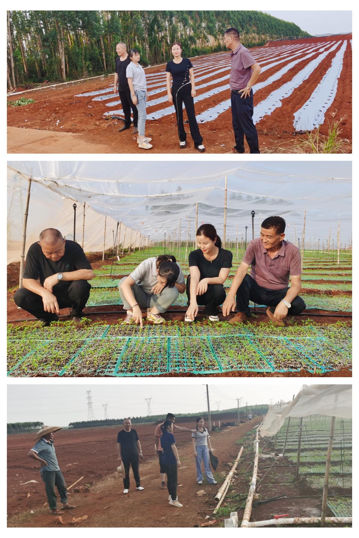 beat·365(中国)唯一官方网站