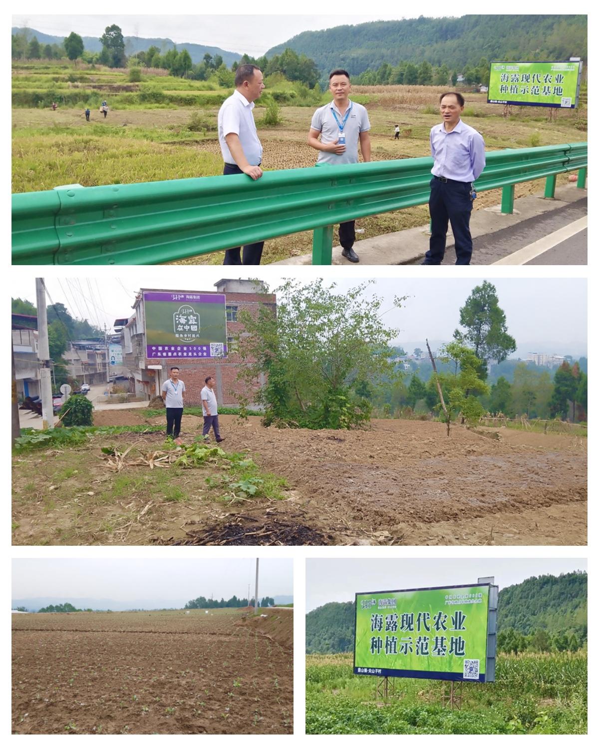 beat·365(中国)唯一官方网站