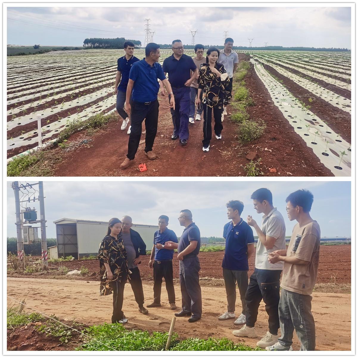 beat·365(中国)唯一官方网站