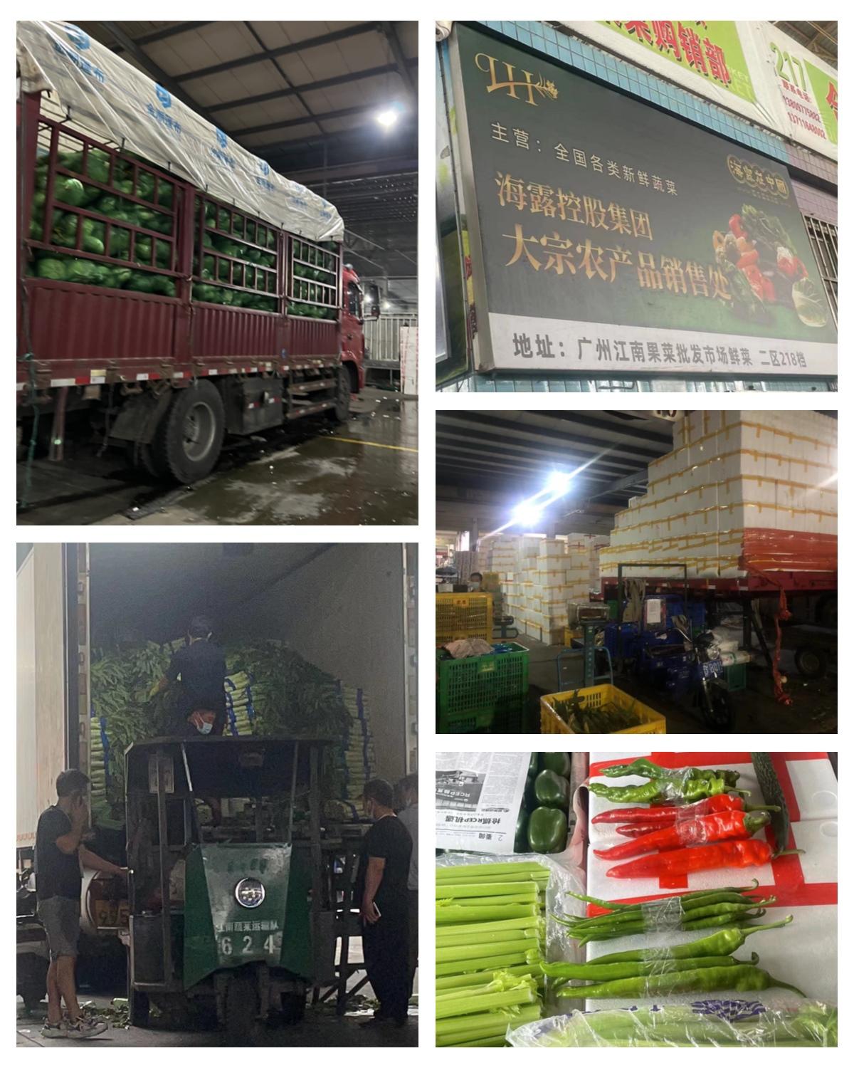 beat·365(中国)唯一官方网站