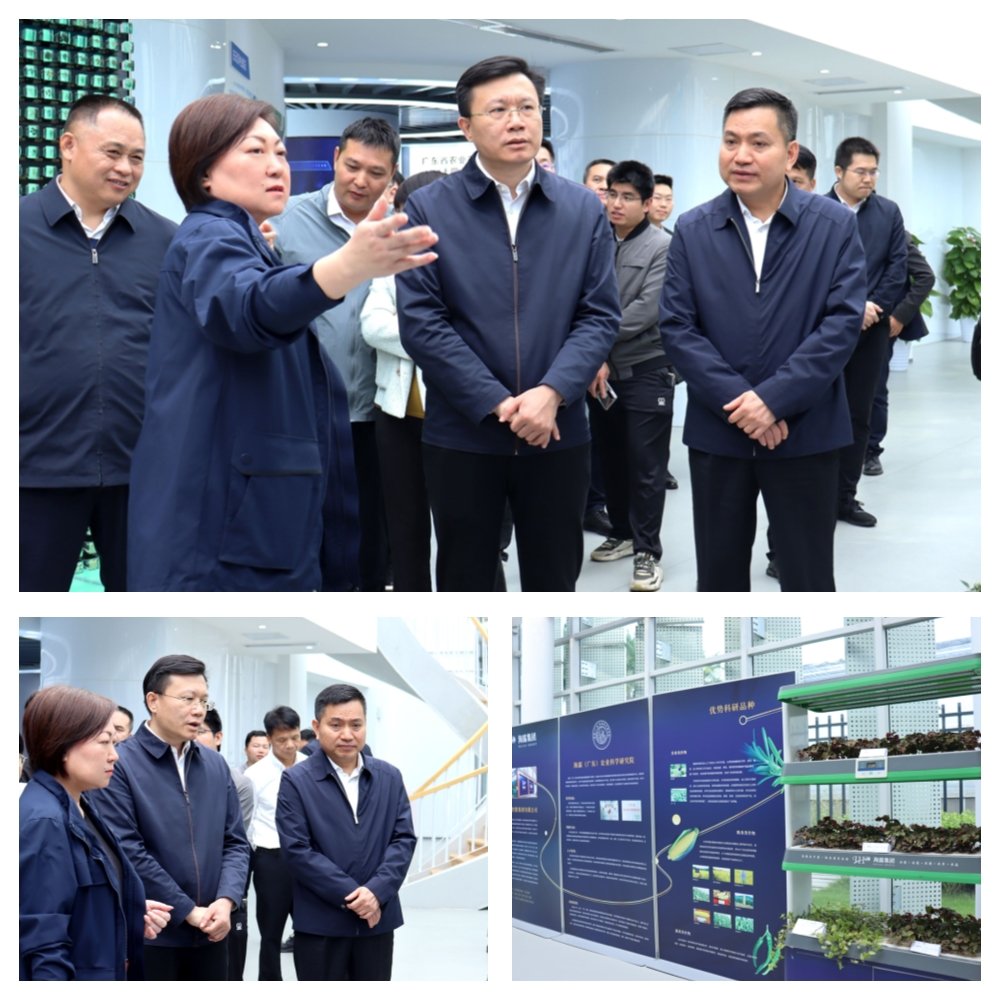 beat·365(中国)唯一官方网站