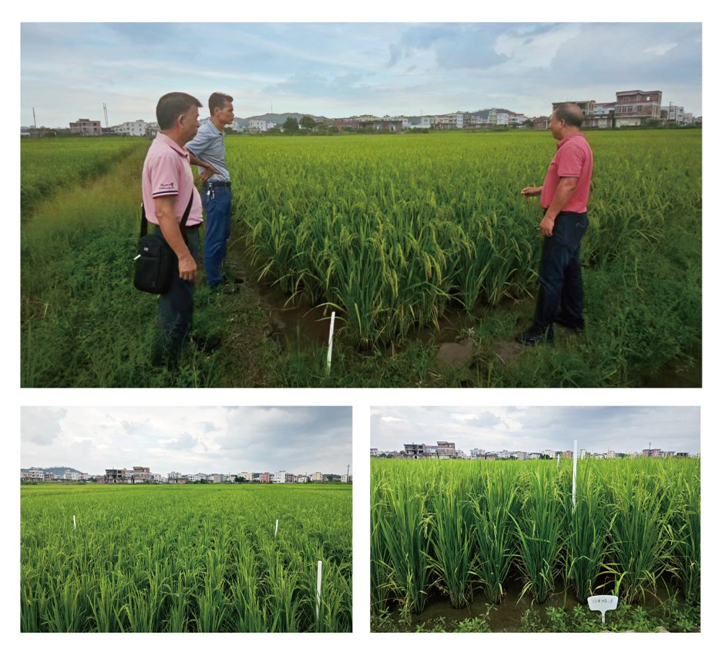 beat·365(中国)唯一官方网站