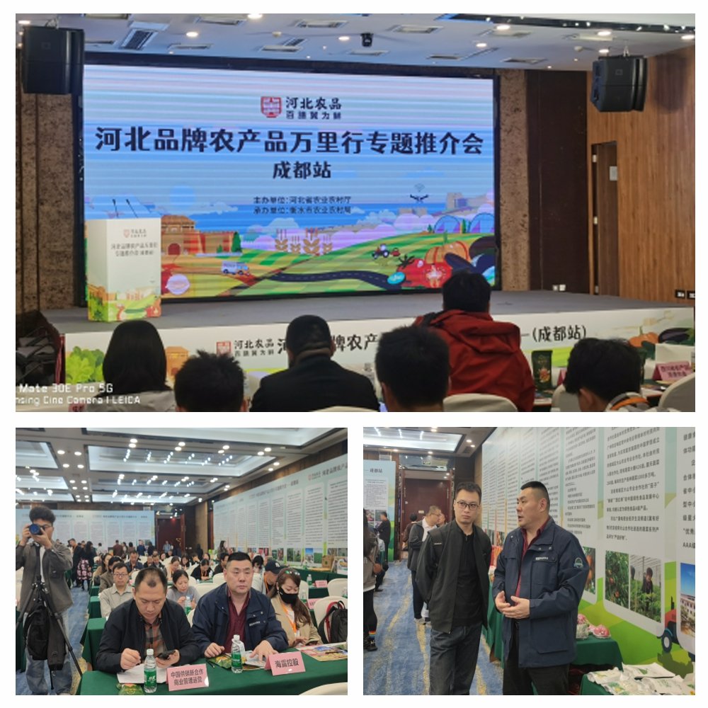 beat·365(中国)唯一官方网站