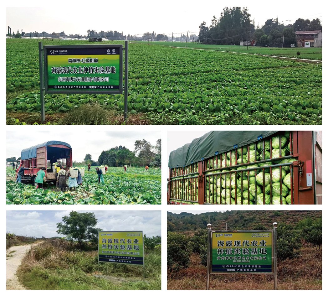 beat·365(中国)唯一官方网站