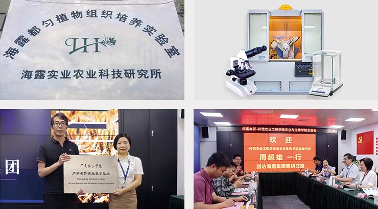 beat·365(中国)唯一官方网站