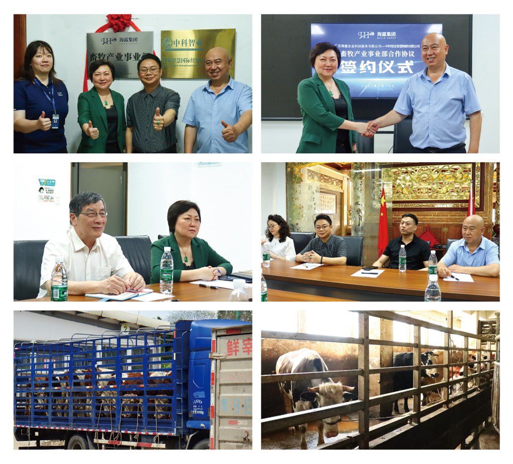 beat·365(中国)唯一官方网站