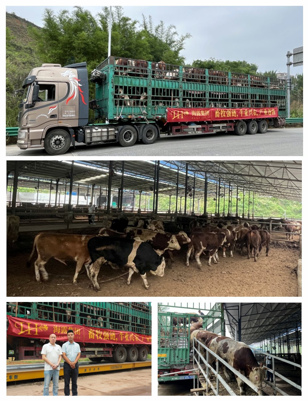 beat·365(中国)唯一官方网站