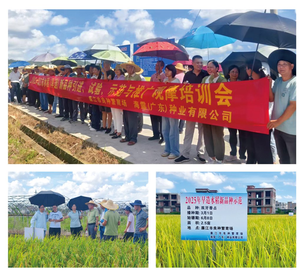 beat·365(中国)唯一官方网站