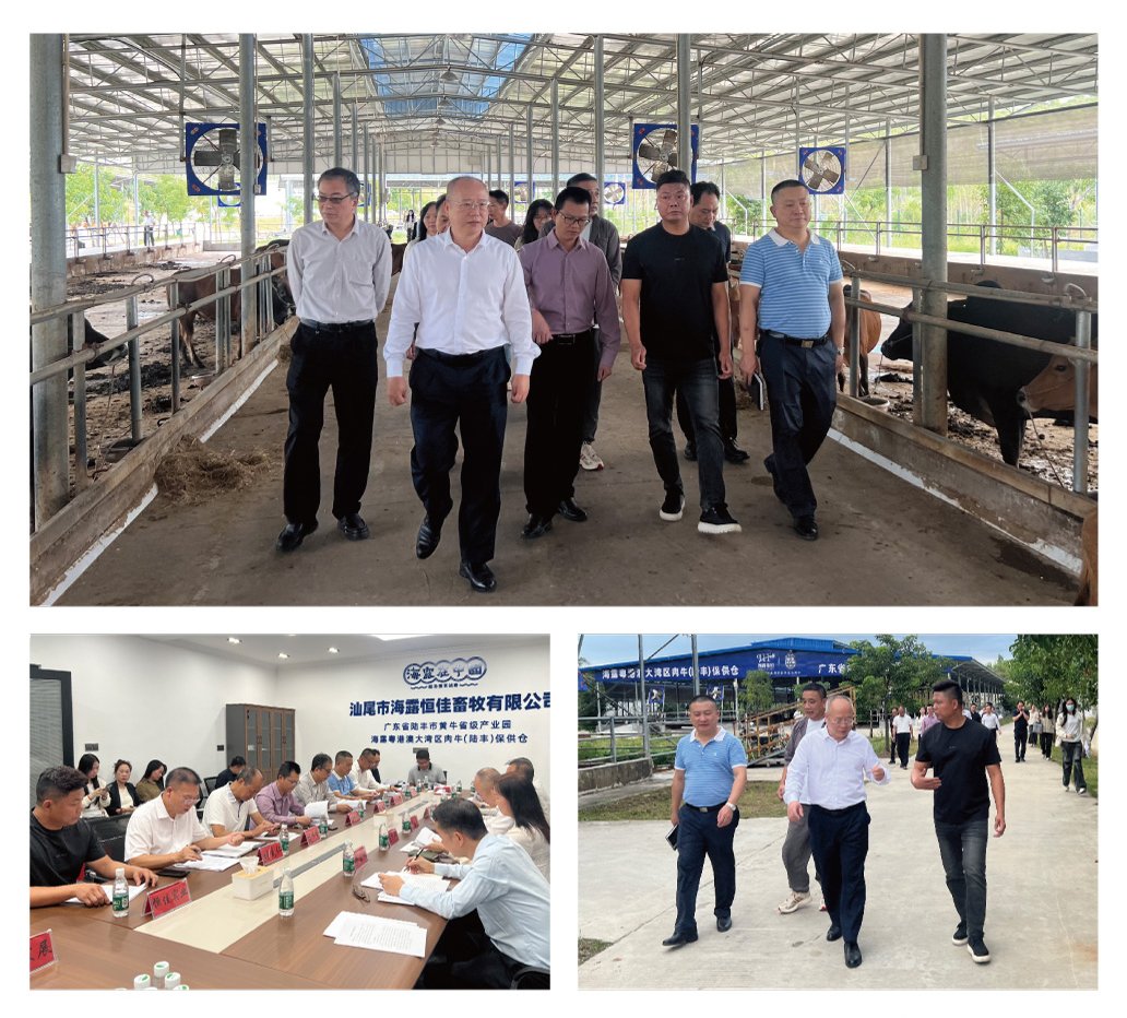 beat·365(中国)唯一官方网站